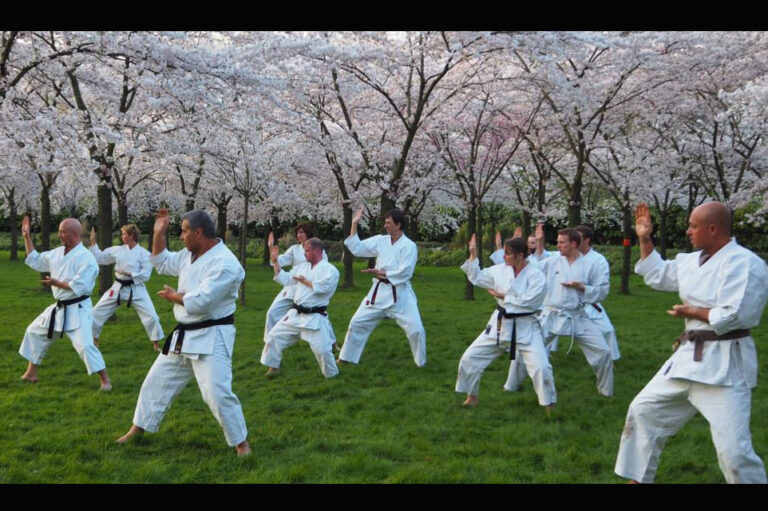 hanami3b